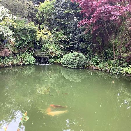 The Willows Newton Abbot Luaran gambar